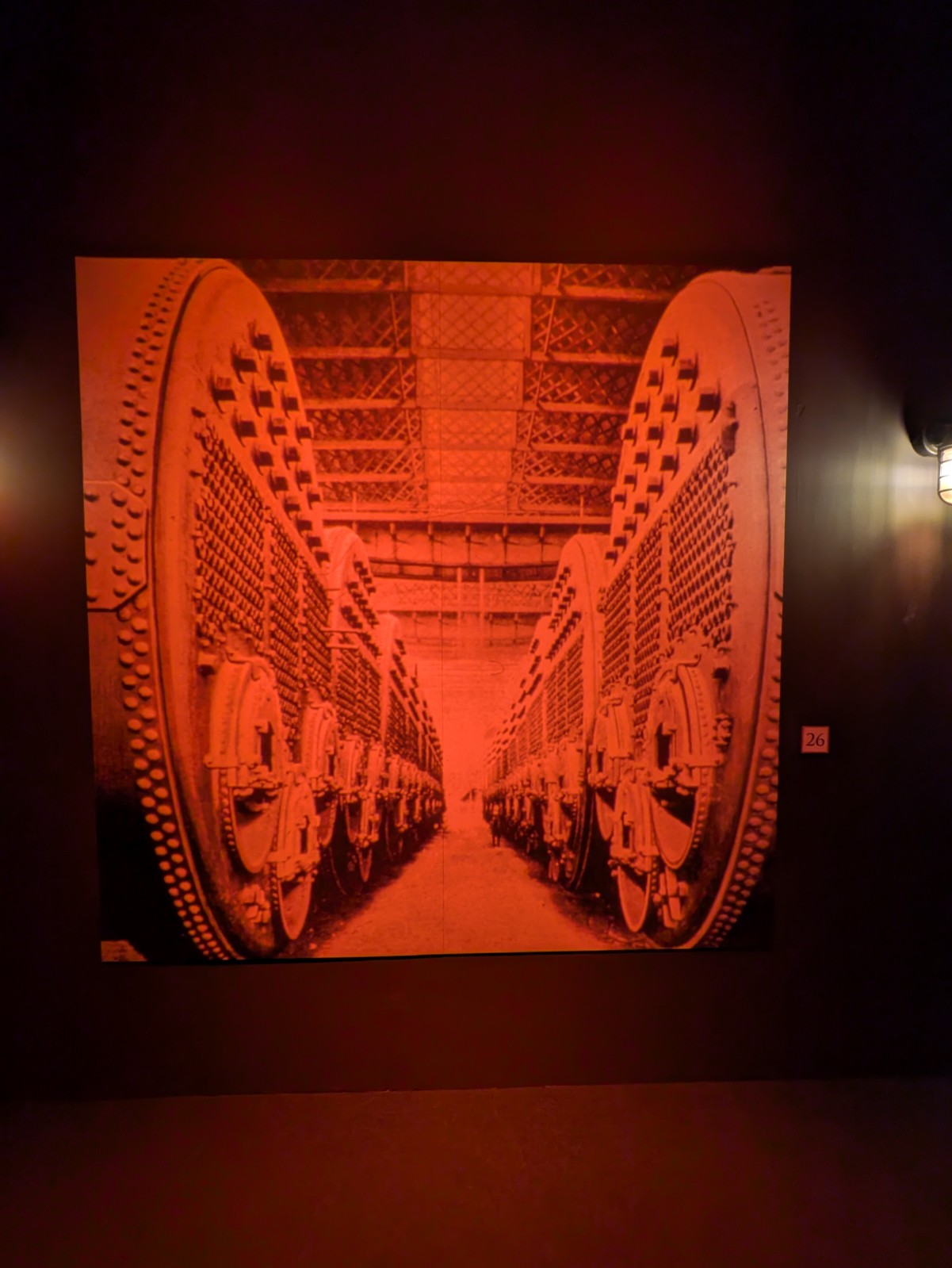 PXL 20241217 113612993.NIGHT